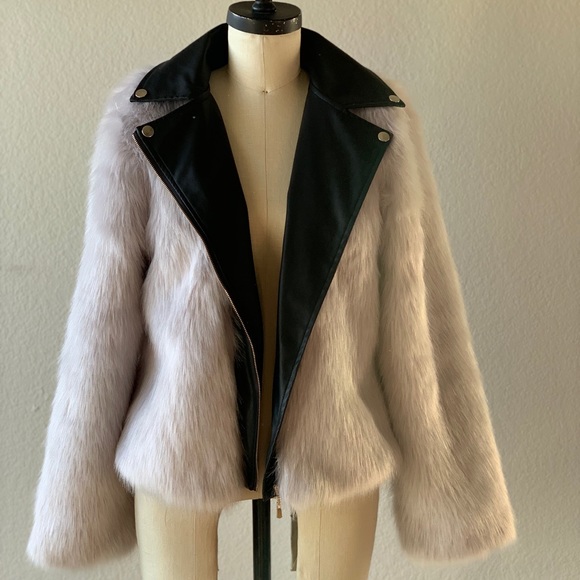 Jacket - Picture 2 of 8